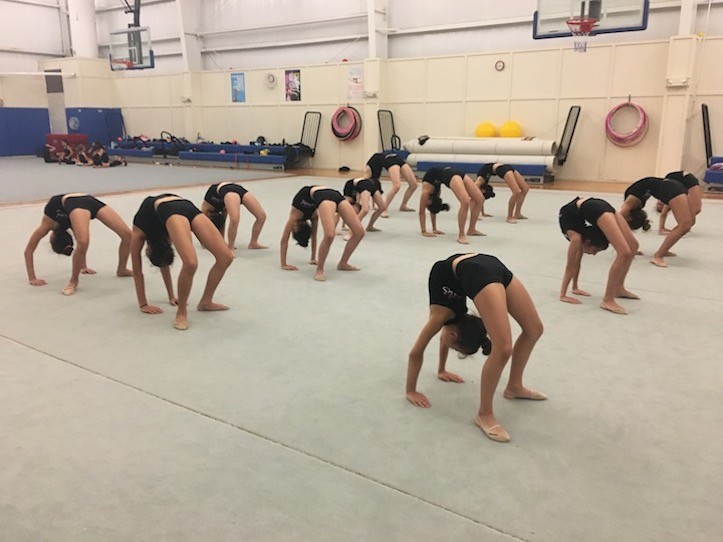 Flexibility and Strength classes